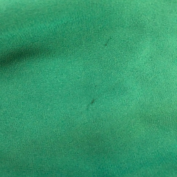 Babaton green dressy shorts. - Picture 4 of 6